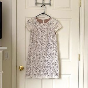 Ann Taylor Elegant Sheath Lace Dress